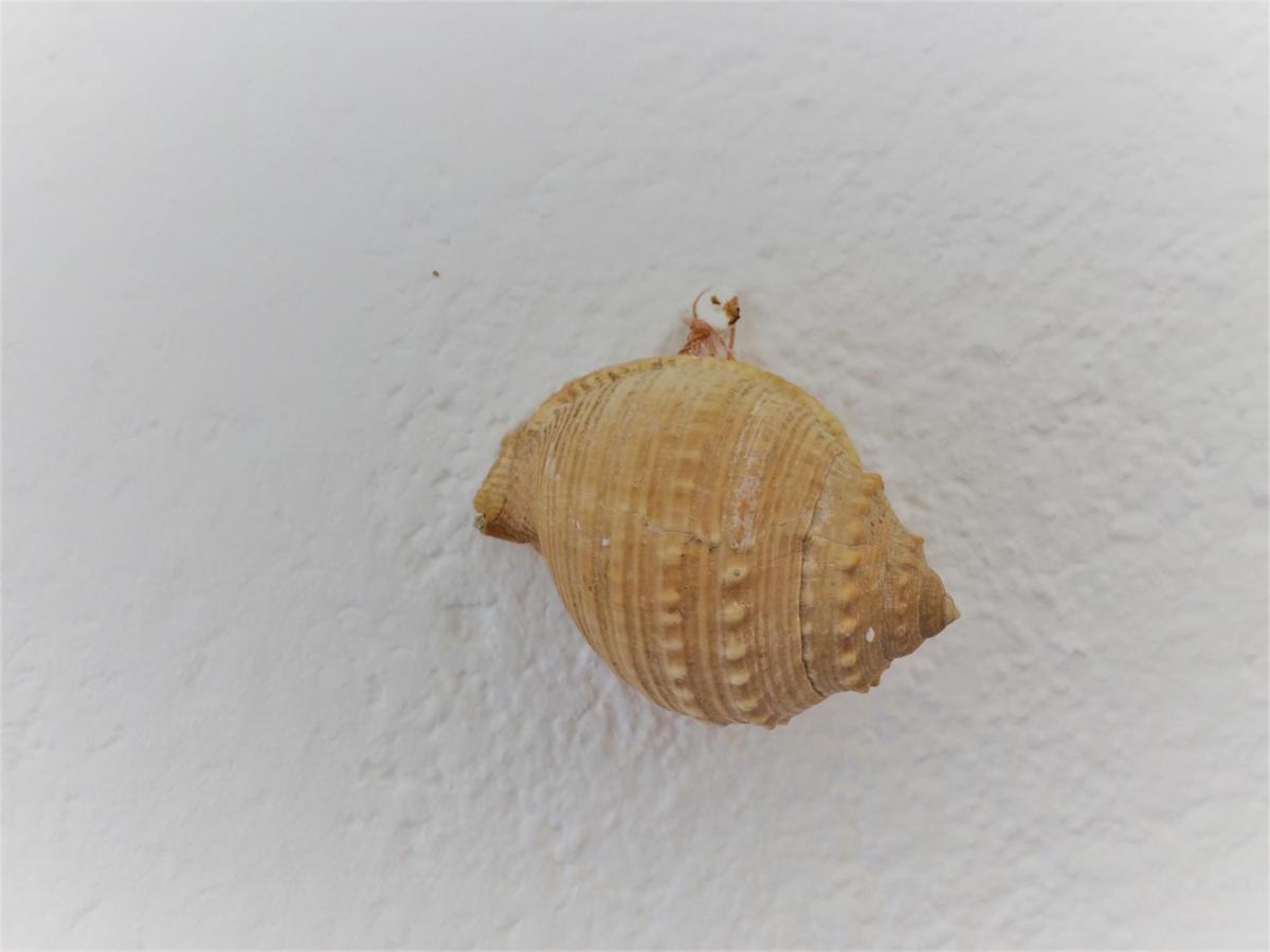 Apartman Turkesici Apartment Jablanac Luaran gambar